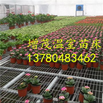 溫室<a href='/' target='_blank'><a href='http://www.huaqiaoshengliankao.cn/miaochuangsheshi/203.html'target='_blank'>花架網(wǎng)</a></a>廠家